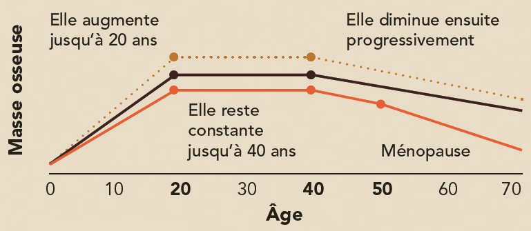 graphique : les effets de l âge