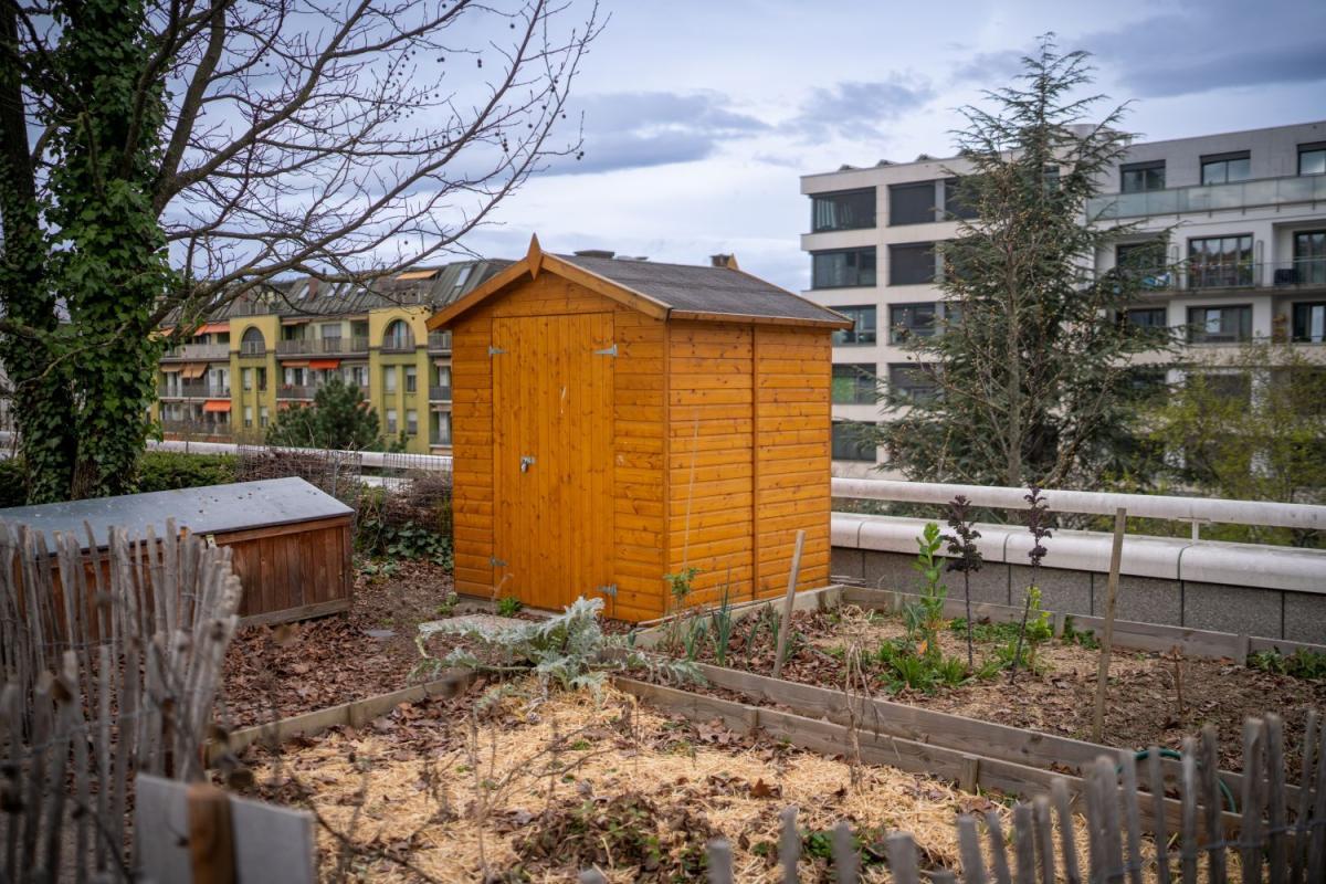 dix potagers sont mis à la disposition des collaboratrices et collaborateurs qui ont la main verte.