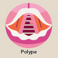 Polype