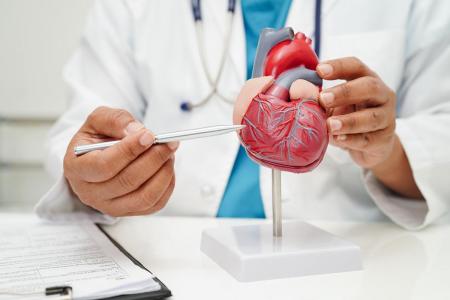 Les HUG à la pointe pour les cardiopathies congénitales