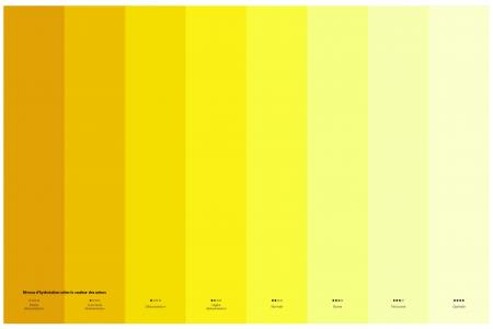 Les niveaux d'hydratation selon la couleur de l'urine