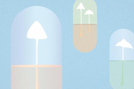 illustration article : psychédéliques