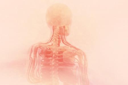  maladies neuromusculaires