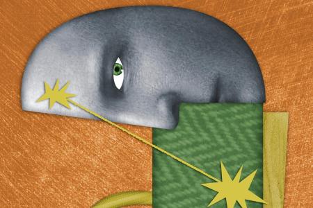 illustration cerveau