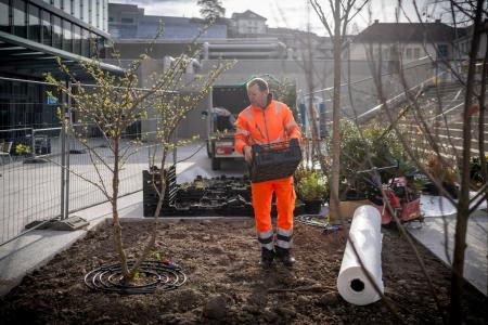 La biodiversité fleurit à l’hôpital