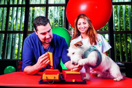 Jack Russel comme thérapeute 