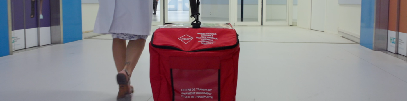 Au cœur de la greffe d'organe : les coordinatrices de transplantation des HUG