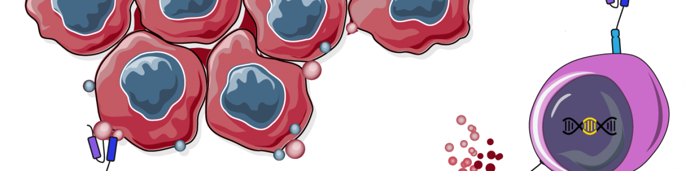 illsutration CAR-T cells