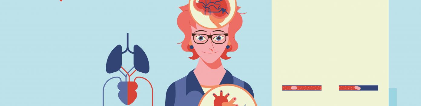 Infographie - Cœur vaisseaux cerveau