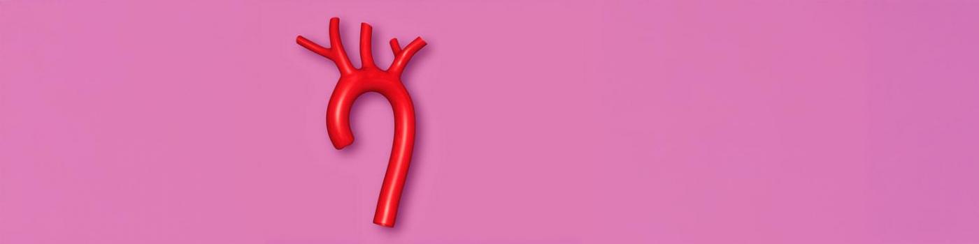 illustration aorte