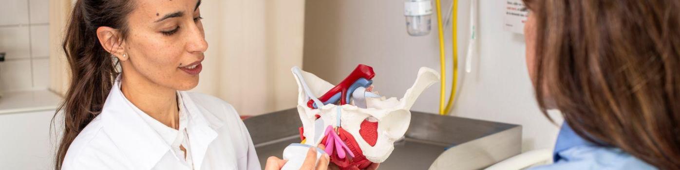 La vulve et le clitoris sans tabou