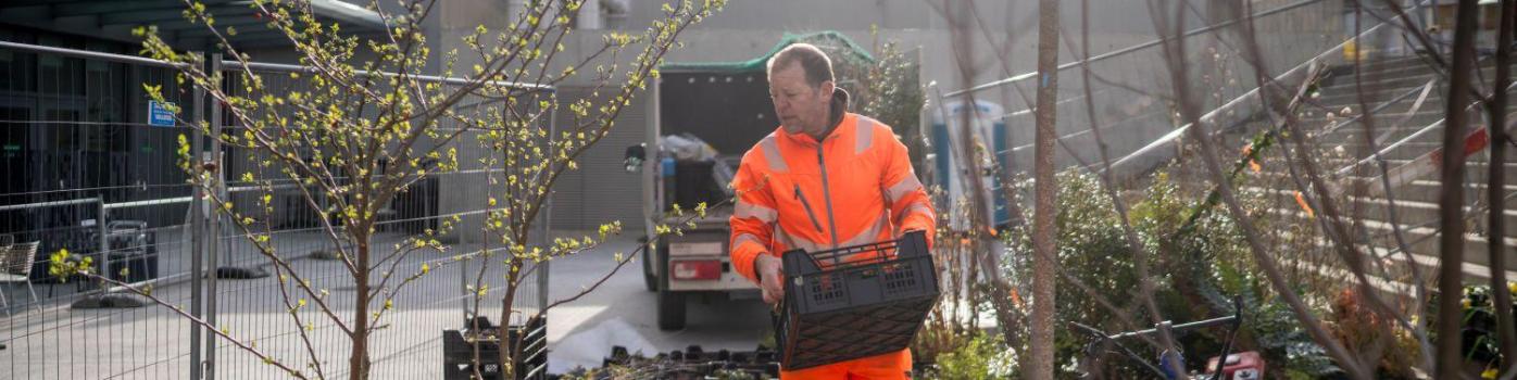 La biodiversité fleurit à l’hôpital