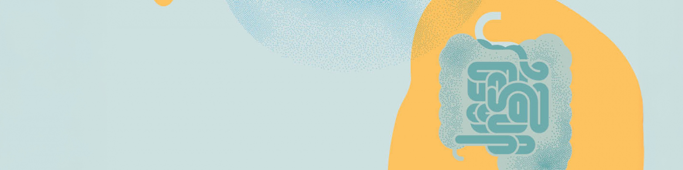 infographie : intestin