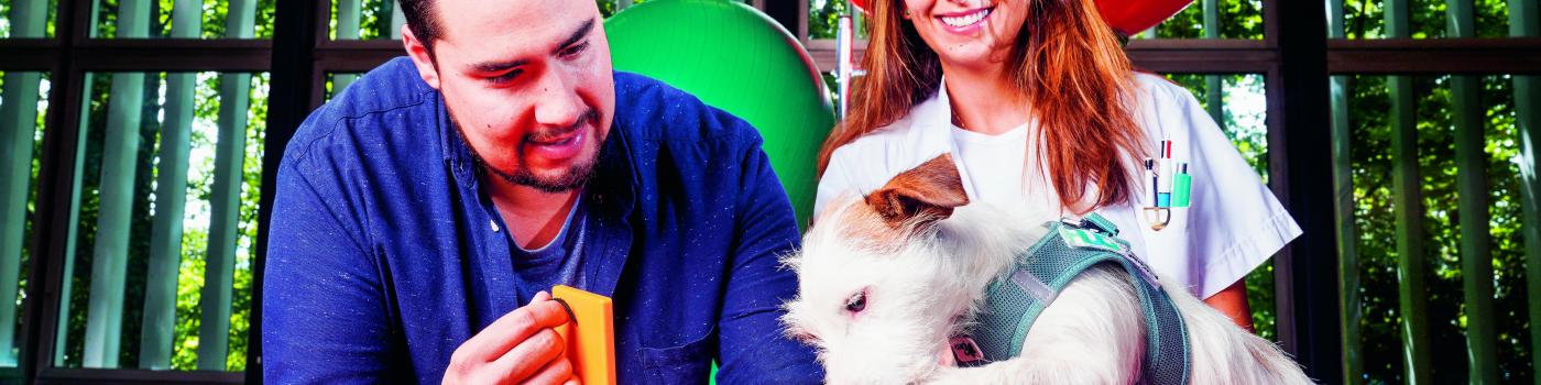 Jack Russel comme thérapeute 