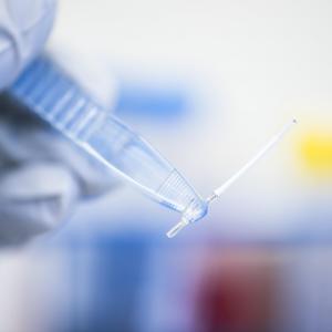 L’immunothérapie, arme du futur