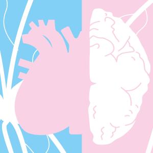 Faites le point sur votre santé cardiovasculaire!