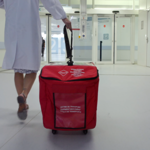 Au cœur de la greffe d'organe : les coordinatrices de transplantation des HUG