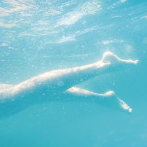 Plongez dans le grand bain