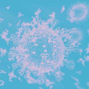 Le Covid-19 défie l’immunité