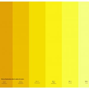 Les niveaux d'hydratation selon la couleur de l'urine