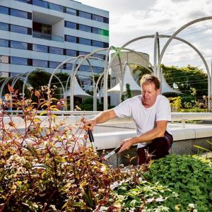 Label Bourgeon pour les espaces verts des HUG