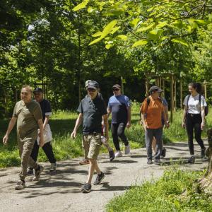 réhabilitation après une greffe