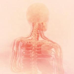  maladies neuromusculaires
