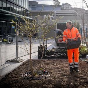 La biodiversité fleurit à l’hôpital