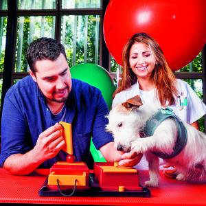 Jack Russel comme thérapeute 