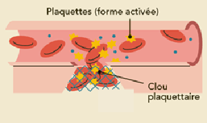 Plaquettes activées