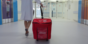 Au cœur de la greffe d'organe : les coordinatrices de transplantation des HUG