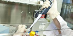 Lutte contre le cancer
