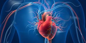 troubles de l’aorte