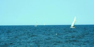 Mémoire et santé psychique, quels liens ?