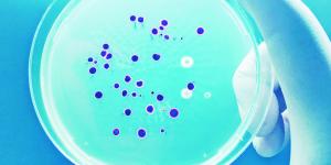 Cancer et microbiote