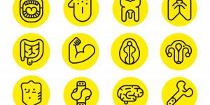 microbiote, recherche, bactéries