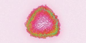 virus