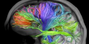 Les espoirs de la recherche