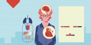 Infographie - Cœur vaisseaux cerveau