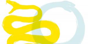 image de 2 serpents