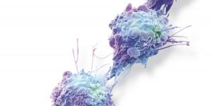 L’oncologie de précision : une nouvelle ère dans la lutte contre le cancer