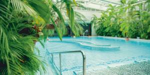 photo de la piscine des bains de cressy