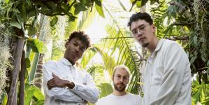 Groupe Tropical Soul