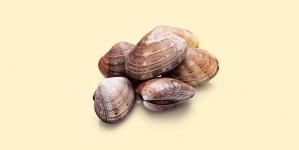 Attention au manque de fer