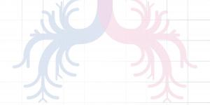 illustration - bronchopneumopathie chronique obstructive