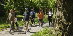 réhabilitation après une greffe