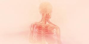  maladies neuromusculaires