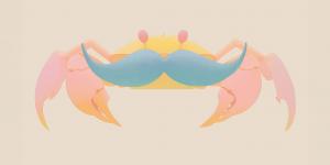 movember