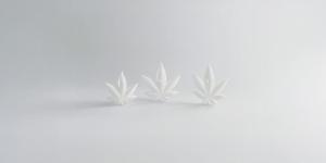 Quand l’addiction se vit dans la rue