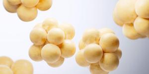 Gare au mauvais cholestérol